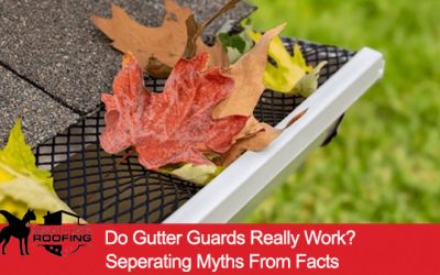 Do Gutter Guards Really Work? Separating Myths from Facts