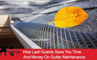 How Leaf Guards Save You Time and Money on Gutter Maintenance