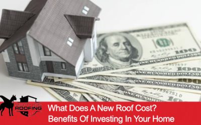 What Is the New Roof Cost? Benefits of Investing in Your Home