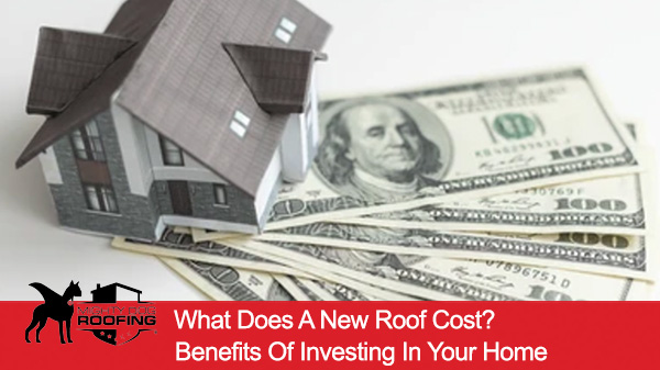 What Is the New Roof Cost? Benefits of Investing in Your Home