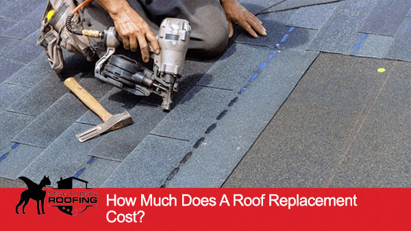 Roof Replacement Cost