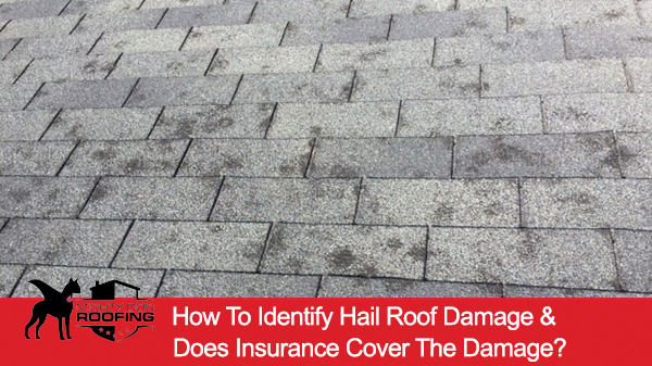 Hail Roof Damage